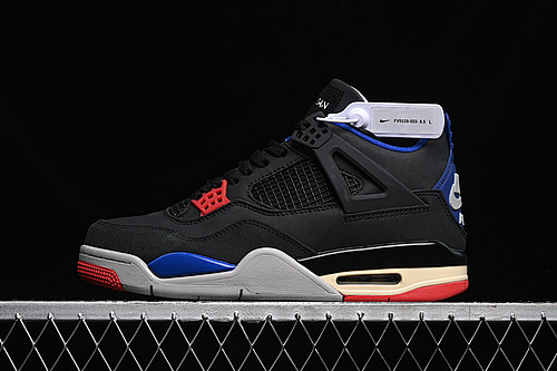 Nike Jordan 4