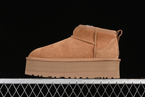 Ugg Dakota 8cm Maroom